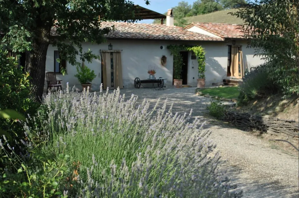 ピエンツァ Podere Rigopesci Casa Per Vacanzeヴィラ 別荘